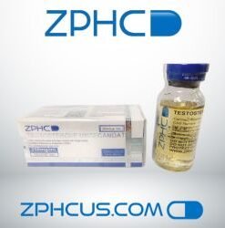 Testosterone Undecanoate 250 mg/ml 10 ml ZPHC